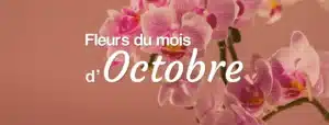 livraison de fleurs de saison en octobre