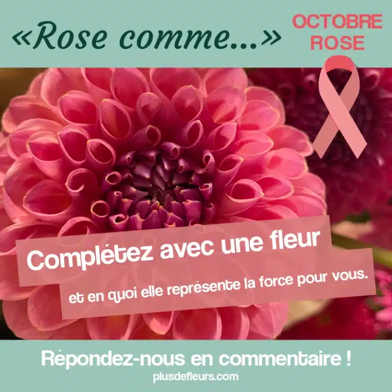 des fleurs pour octobre rose