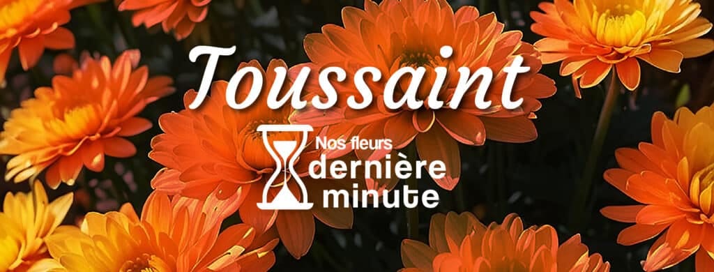 fleurs pour la dernière minute Toussaint