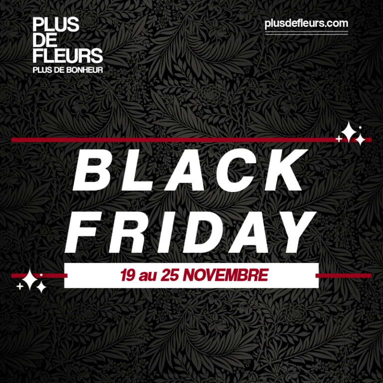 black friday sur les abonnements fleurs déco de noël