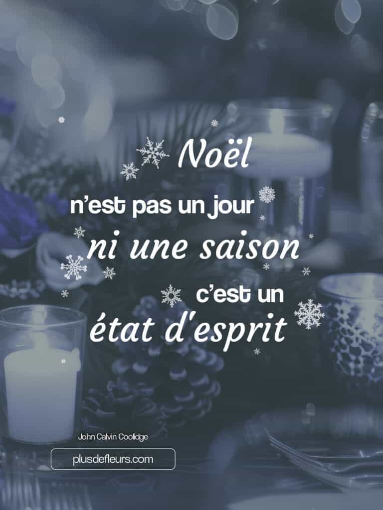 Les fleurs de Noël citation sur les fleurs de Noël