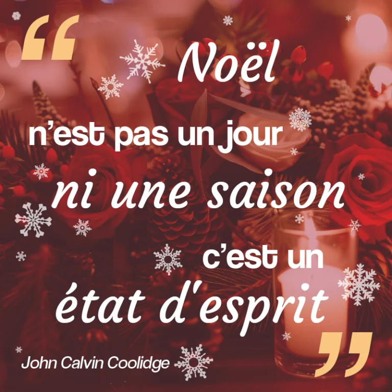 citation sur les fleurs de noël rouge