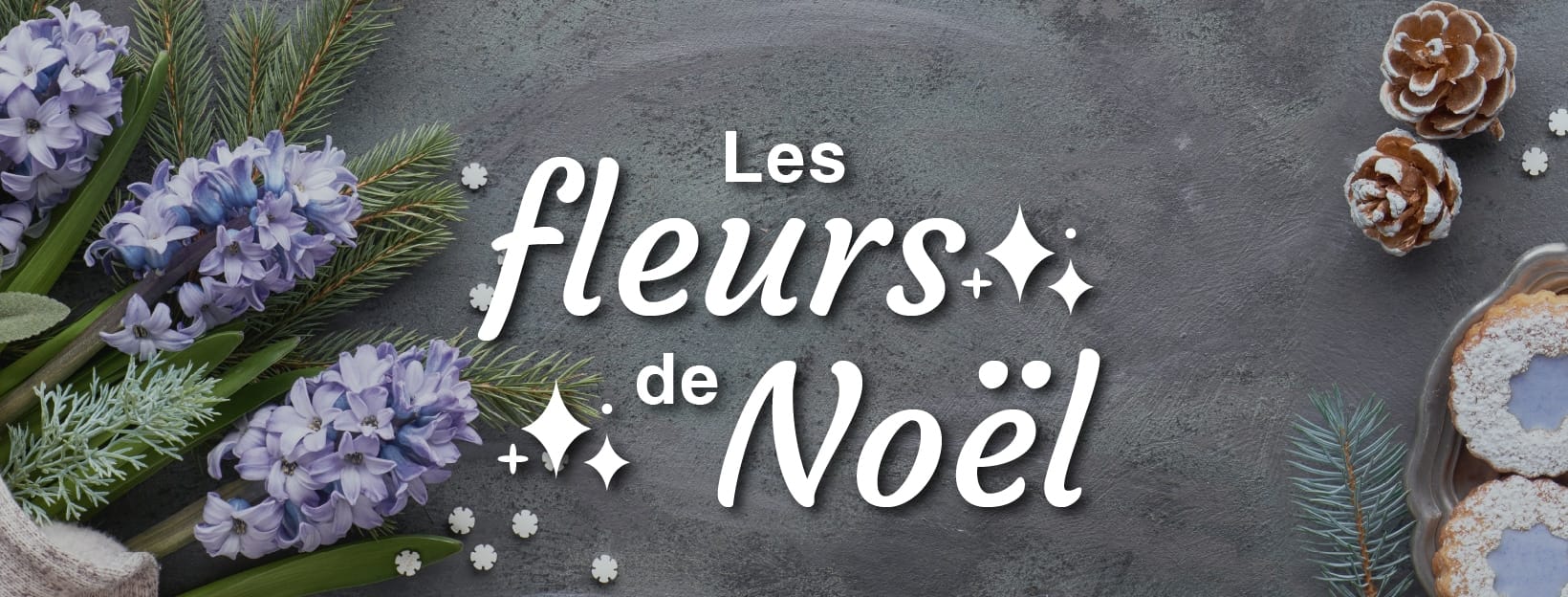 catalogue des fleurs de Noël