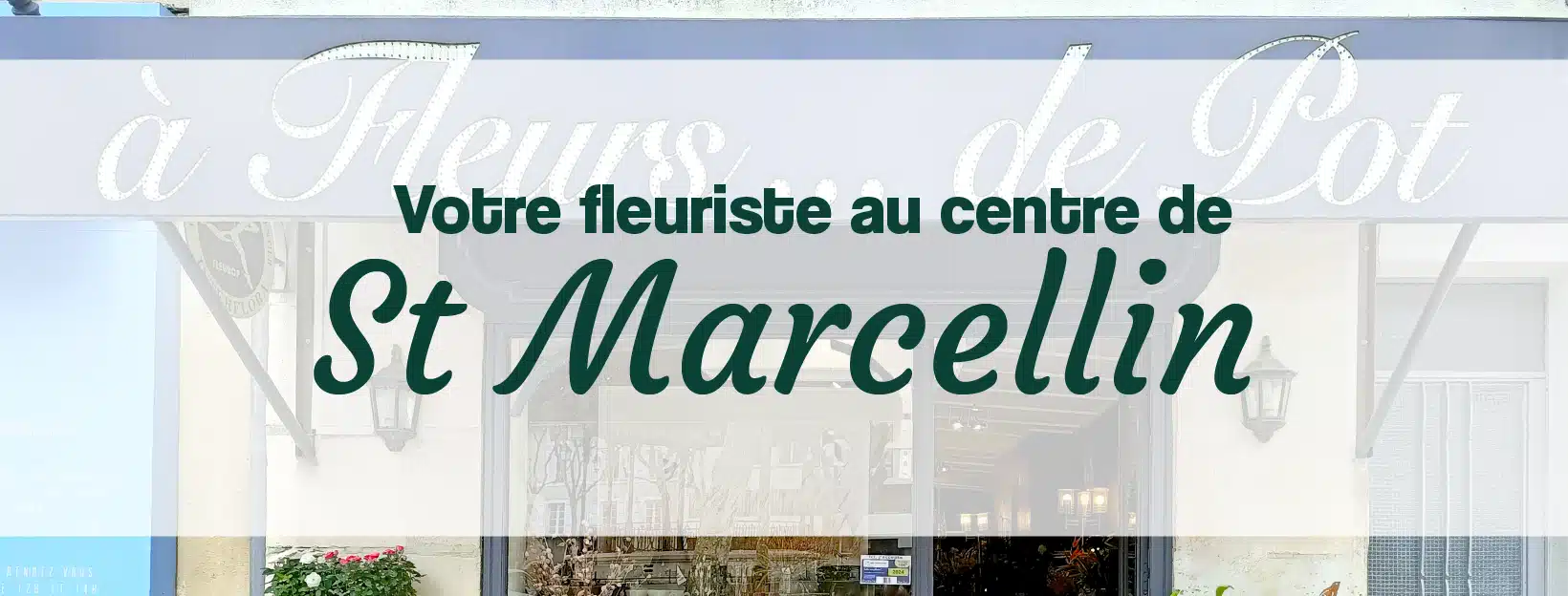 votre fleuriste à proximité à St Marcellin centre