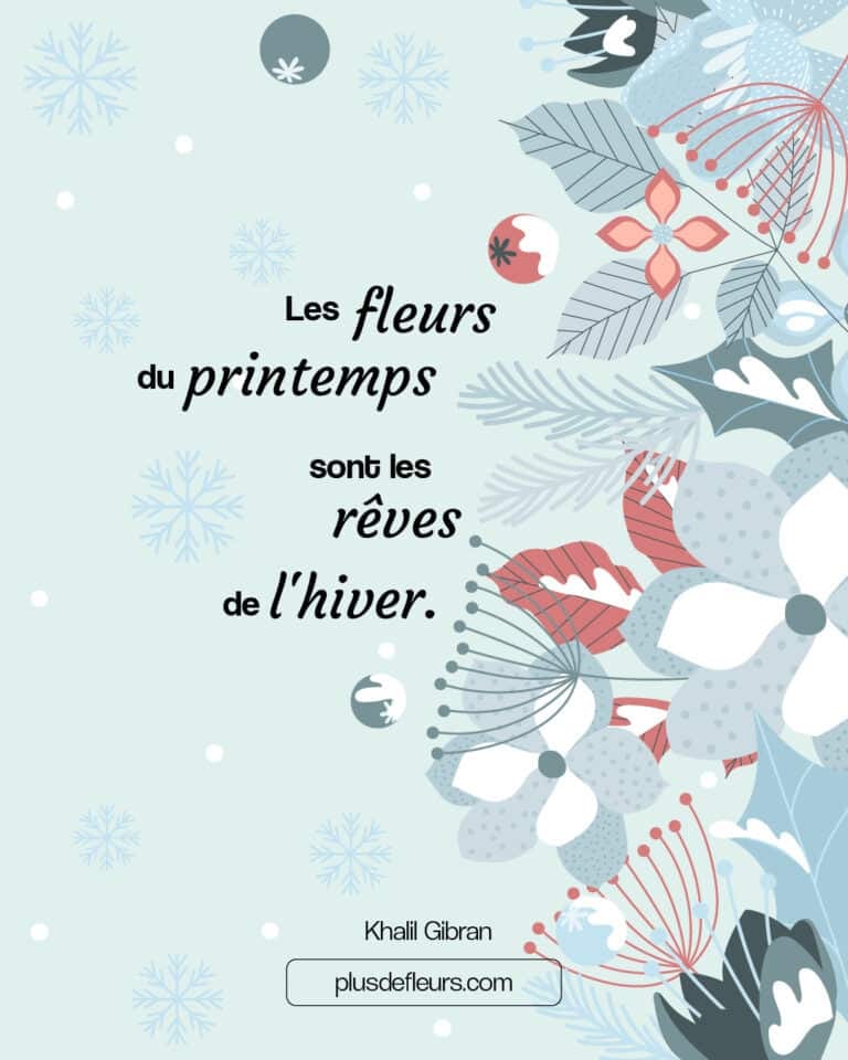 Fleurs d'hiver : trouvez votre bouquet de saison citation fleurs d'hiver
