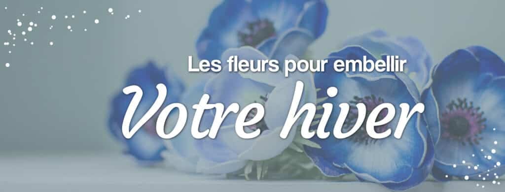 vos fleurs d'hiver de la semaine