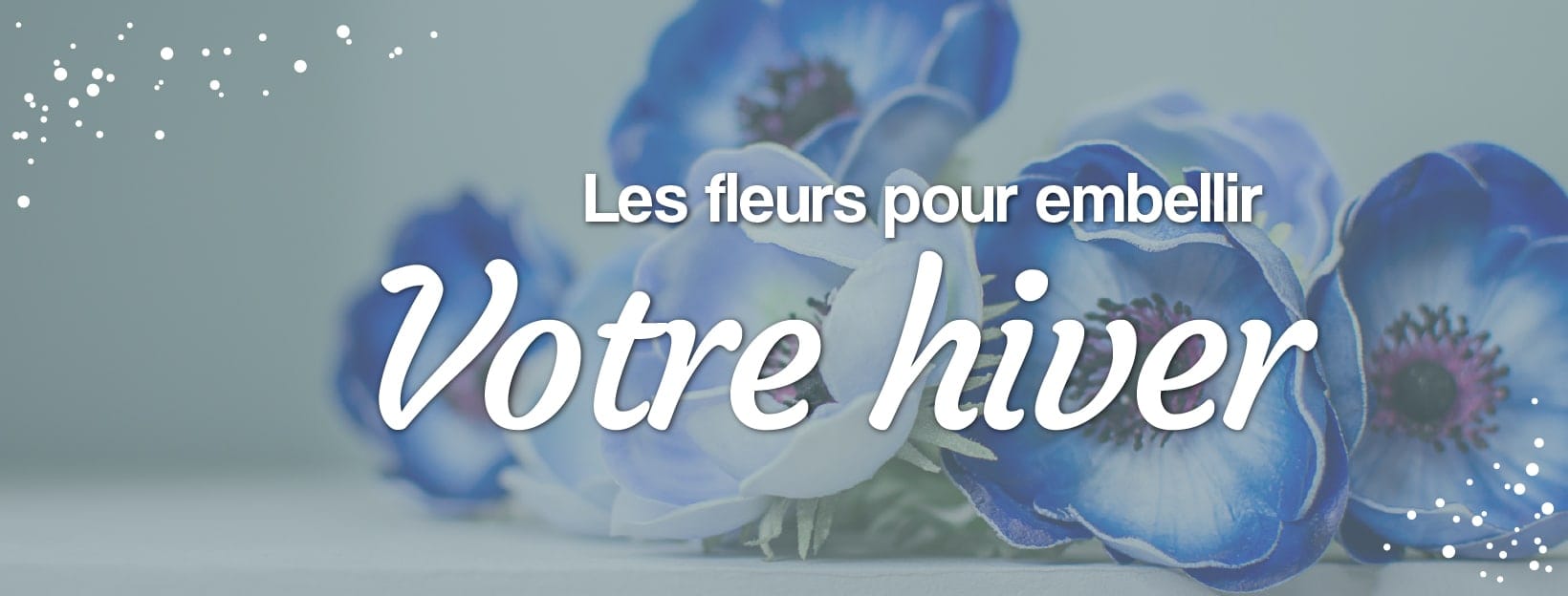 vos fleurs d'hiver de la semaine
