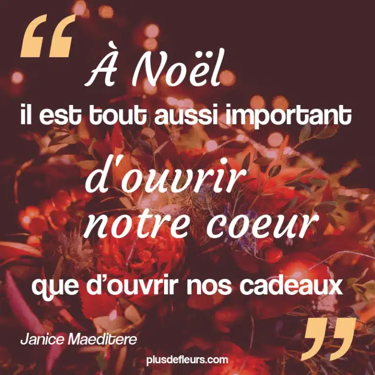 Citation de Noël