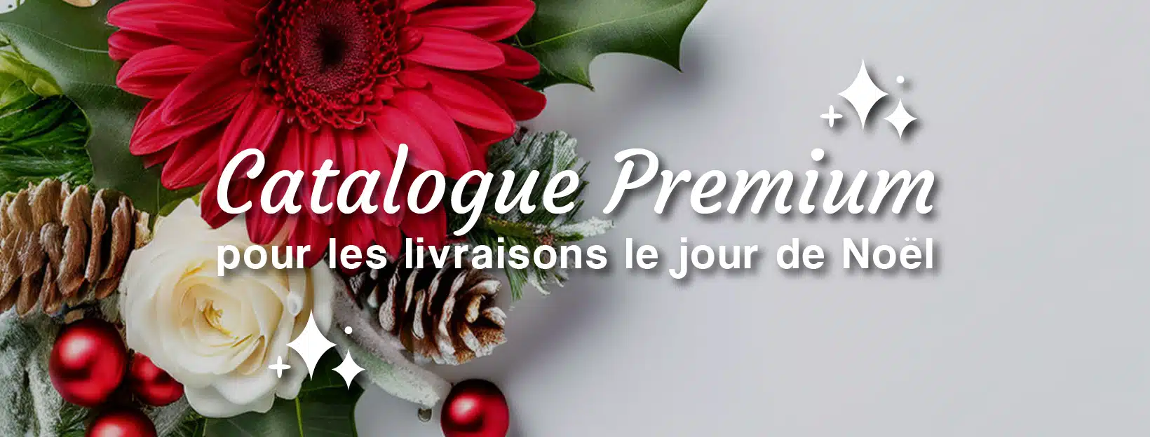 livraison à noel catalogue premium