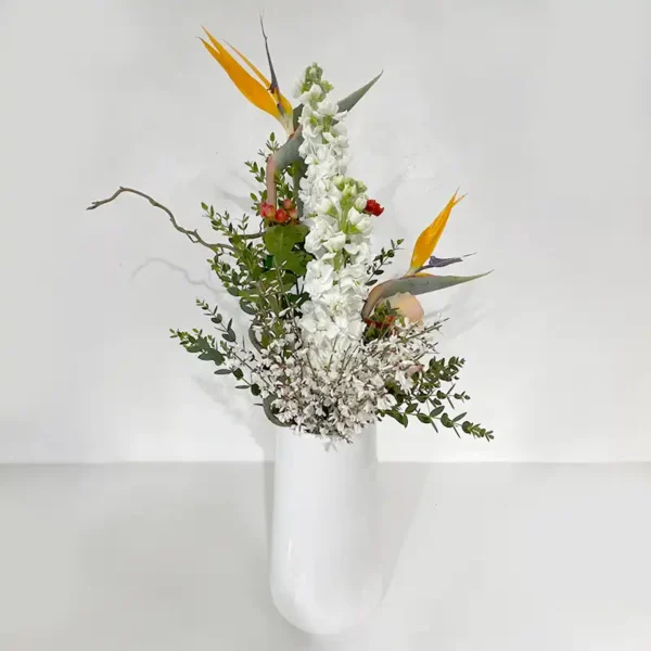 fragrance exotique bouquet en hauteur strelitzia