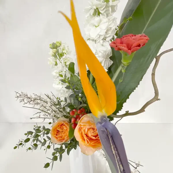 fragrance exotique bouquet en hauteur strelitzia