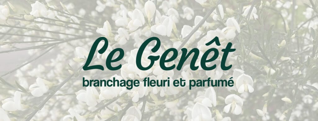 Livraison de bouquets de printemps parfumés à base de genêt branchage fleuri