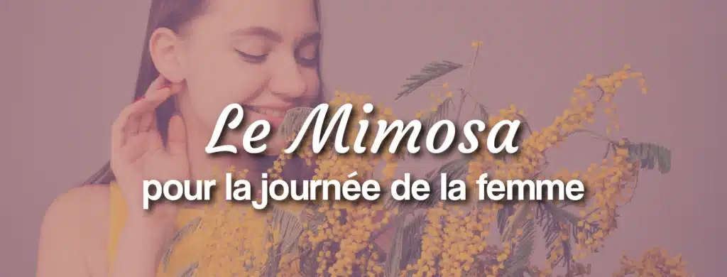 La journée de la femmes avec du mimosa