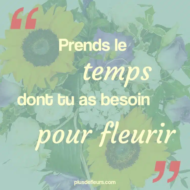 citation sur les fleurs du printemps