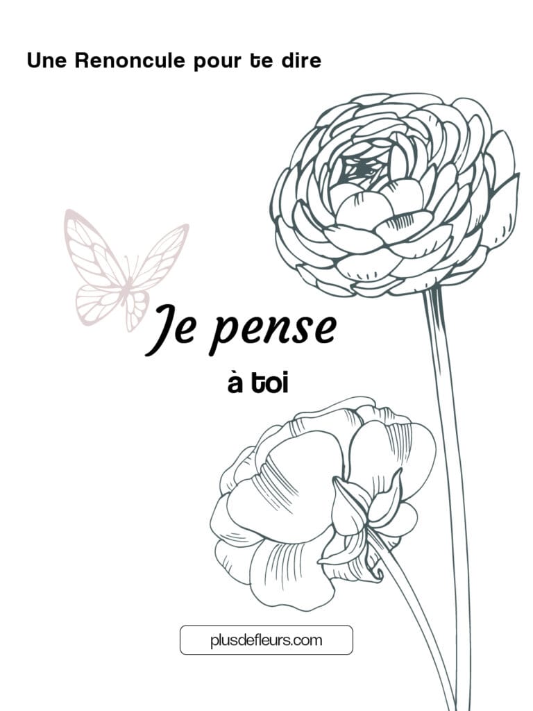 Renoncule, une beauté naturelle de saison langage des fleurs renoncule