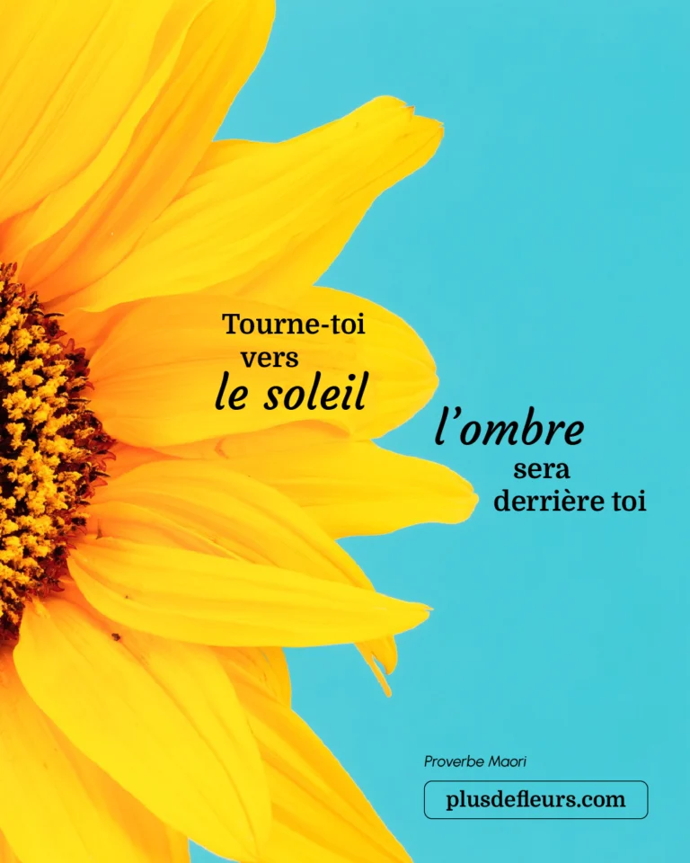 Soleil local : nos bouquets de Tournesols citation sur le tournesol