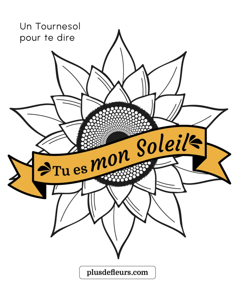 Soleil local : nos bouquets de Tournesols un tournesol pour te dire tu es mon soleil
