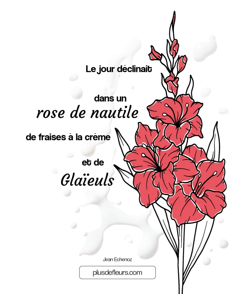 Les Glaïeuls fleurs de la victoire citation sur les glaïeuls