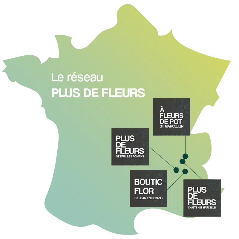 Faites livrer vos fleurs de saison carte de nos fleuristes réseau Plus de fleurs