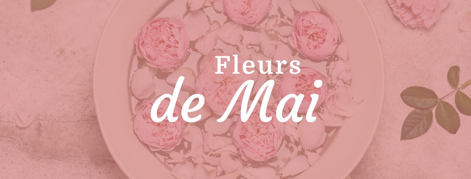 fleurs de mai Pivoine