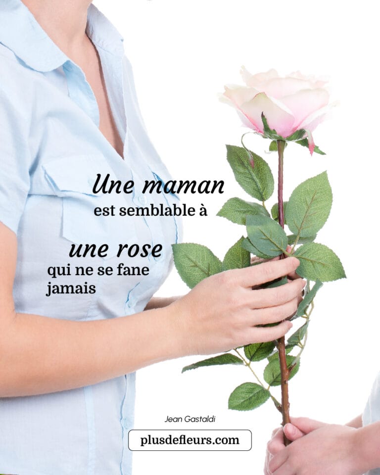 5 fleurs à offrir pour la Fête des mères citation sur la fête des mères et les roses