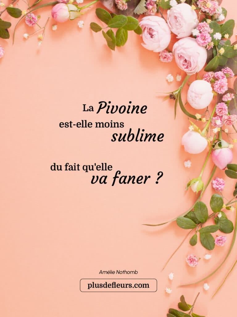 Quelle magnifique bouquet de Pivoines choisir ? pivoines livraison citation