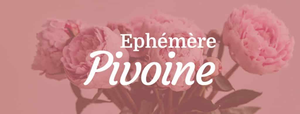 Quelle magnifique bouquet de Pivoines choisir ? pivoines livraison couverture facebook
