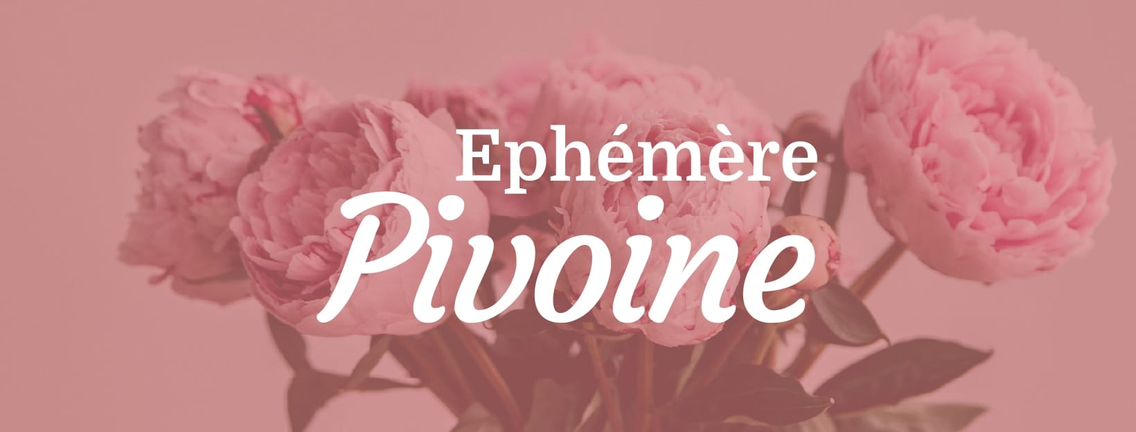 pivoines livraison couverture facebook