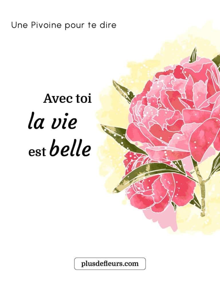Quelle magnifique bouquet de Pivoines choisir ? pivoines livraison message