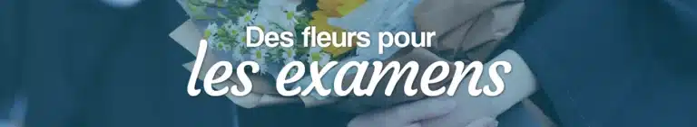 Des fleurs pour les examens examens fleurs web entete