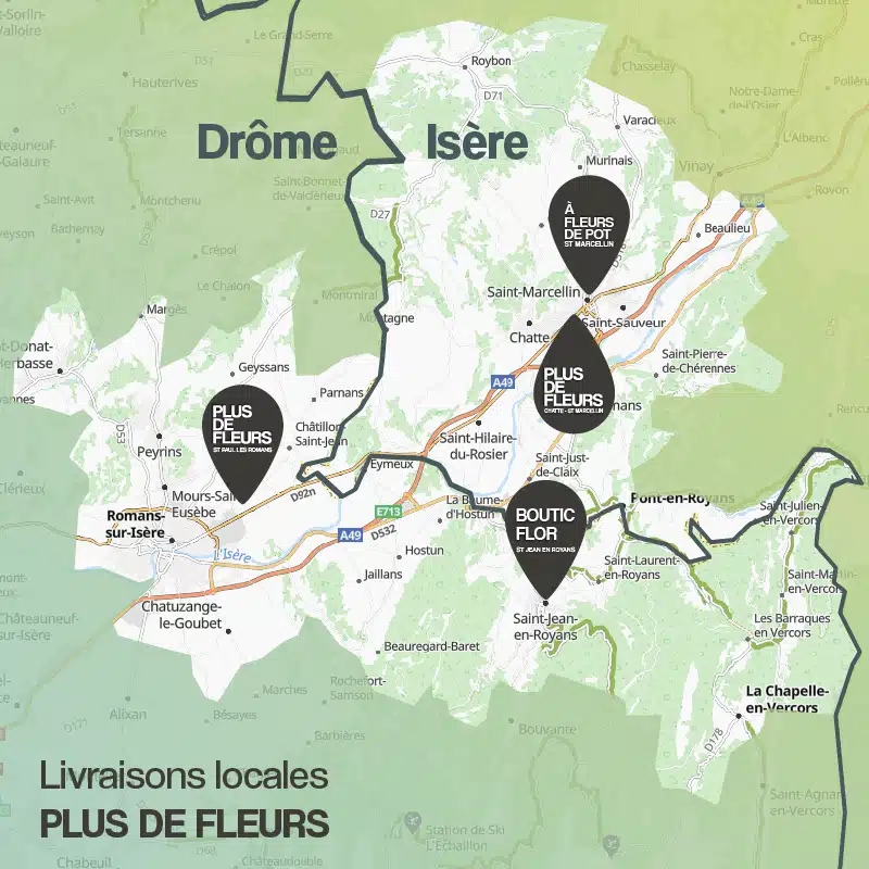 zone de livraison par nos fleuristes