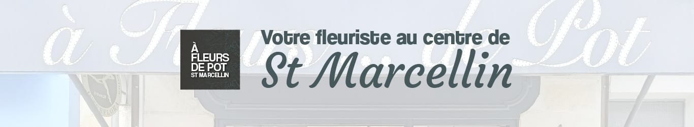 votre fleuriste à proximité à St Marcellin centre