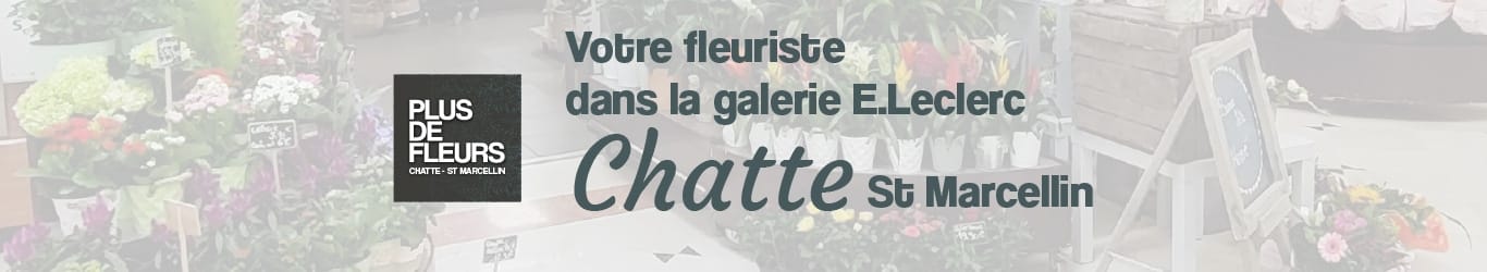votre fleuriste à proximité à Chatte St Marcellin
