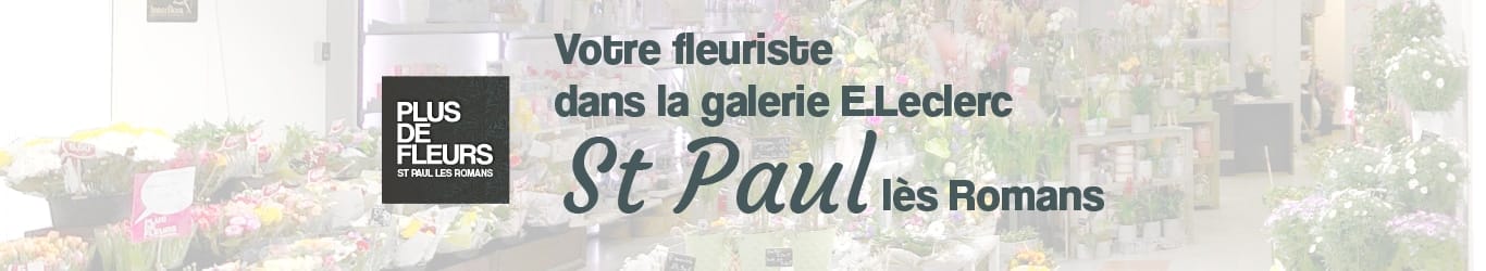 votre fleuriste à saint paul les romans