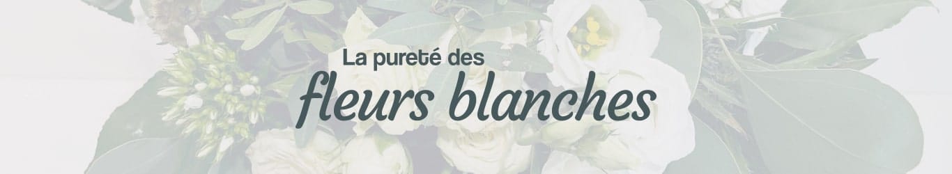 La pureté des fleurs blanches