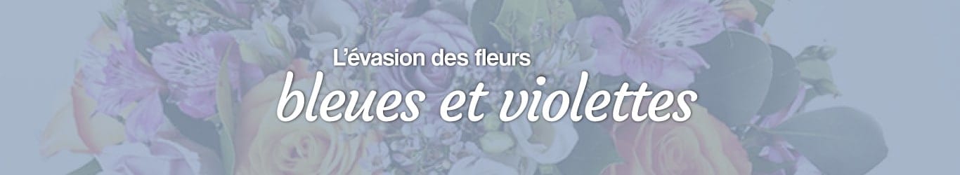L'évasion des fleurs bleues et violettes