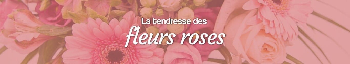 La tendresse des fleurs roses