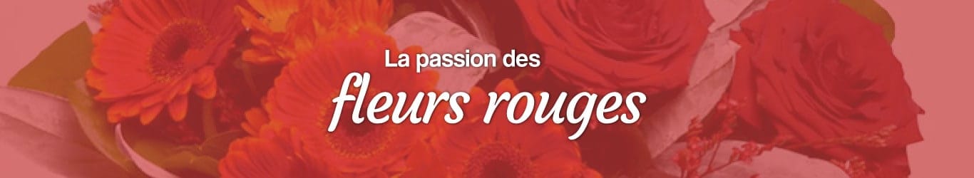 La passion des fleurs rouges