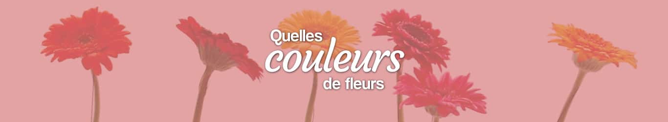 Quelles couleurs de fleurs choisir