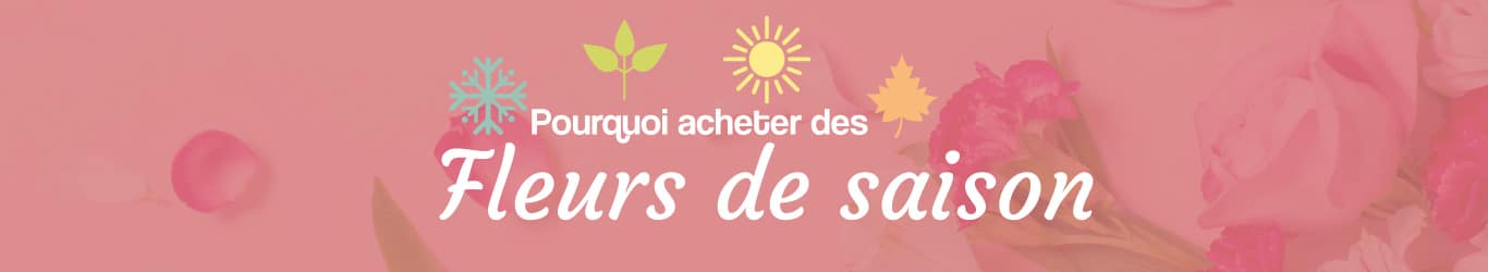 Pourquoi acheter des fleurs de saison