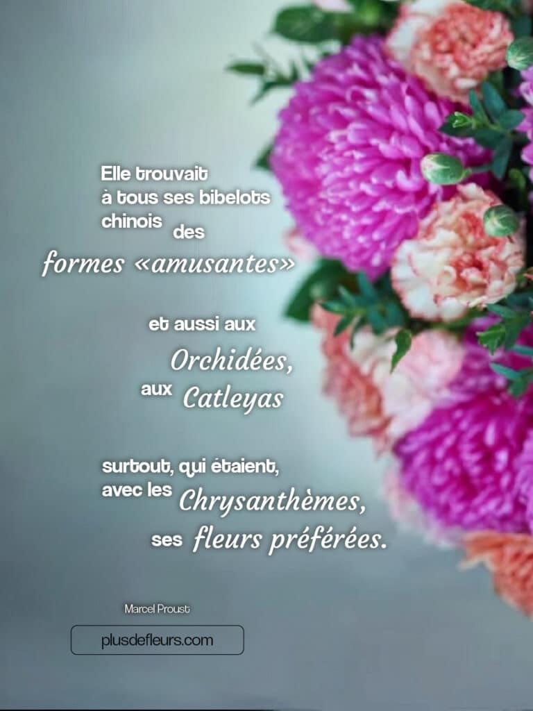 Citation sur la Toussaint et les chrysanthèmes