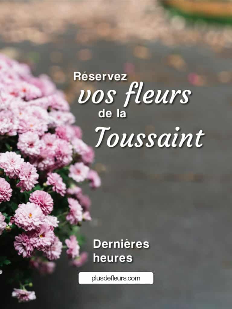Toussaint dernière minute
