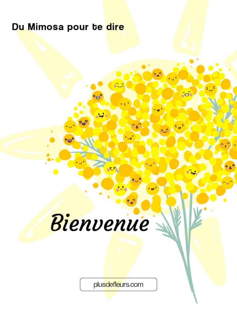 La fleur de Mimosa : du soleil en plein hiver ! Le langage de la fleur de mimosa : bienvenue