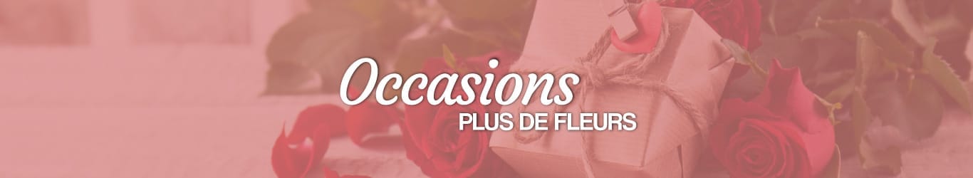 occasions célébrations quelles fleurs offrir pour quelle occasion