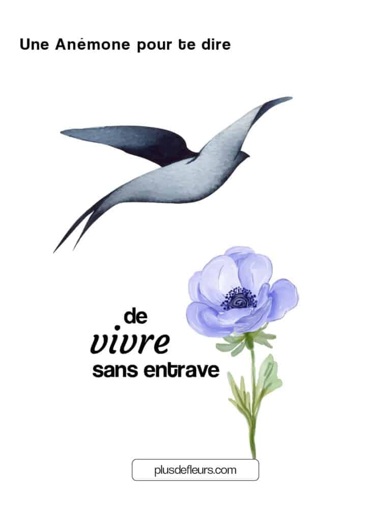 Anémone fleur française au sein de l'hiver le message des anémones