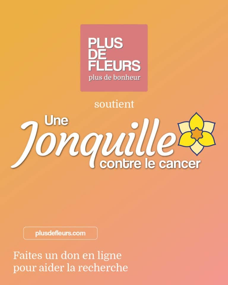 un jonquille contre le cancer avec plusdefleurs