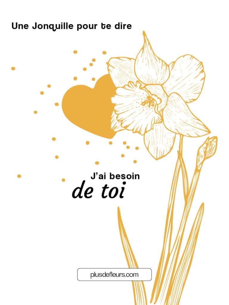 livraison de jonquilles message
