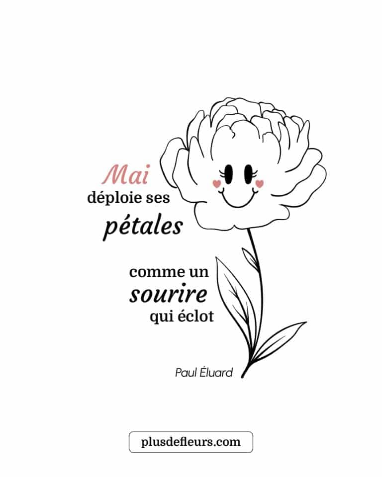 Fleurs de mai : la Pivoine et 3 fleurs de saison fleurs de mai citation