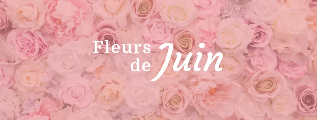 Fleurs de juin : Rose et 4 autres merveilles de saison fleurs de juin
