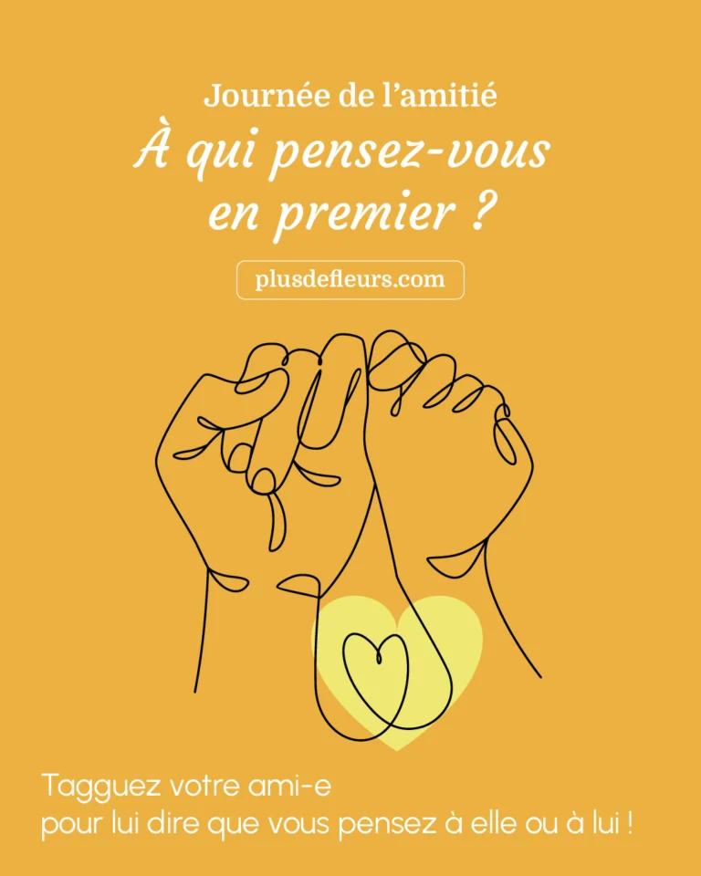 journée de l amitié meilleurs amis journée de l'amitié